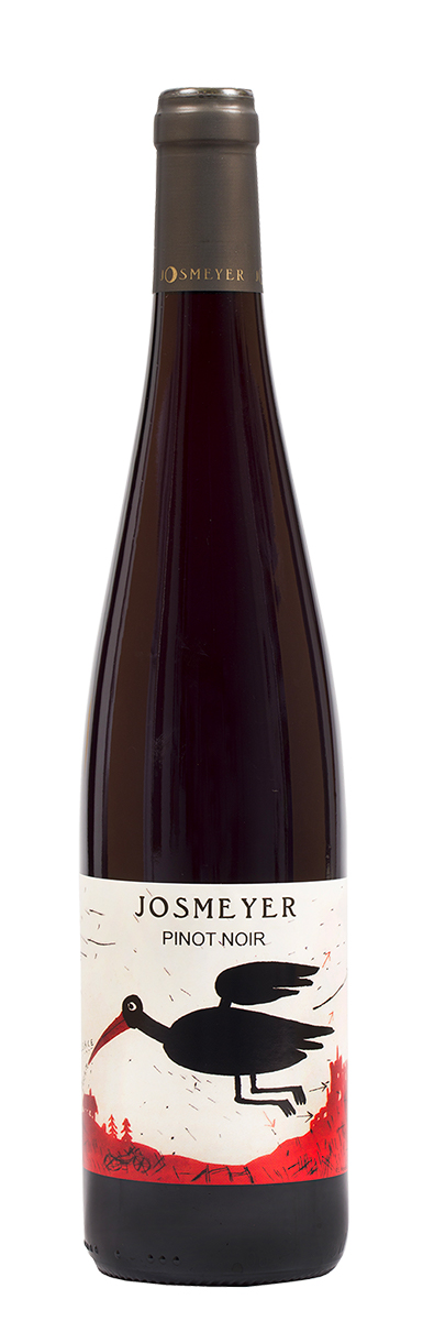 Pinot noir Pfastatt