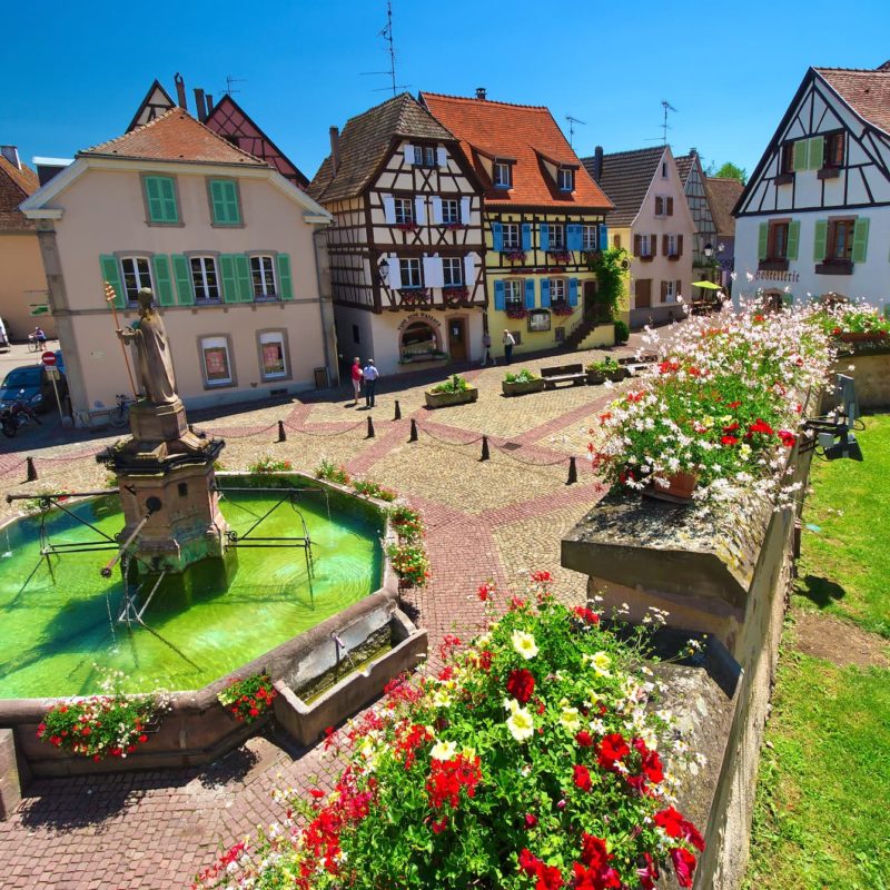 Echapp&eacute;es belles sp&eacute;ciale Alsace Gourmande S&eacute;lestat
