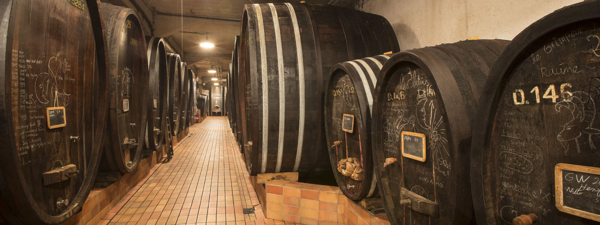Notre cave Colmar