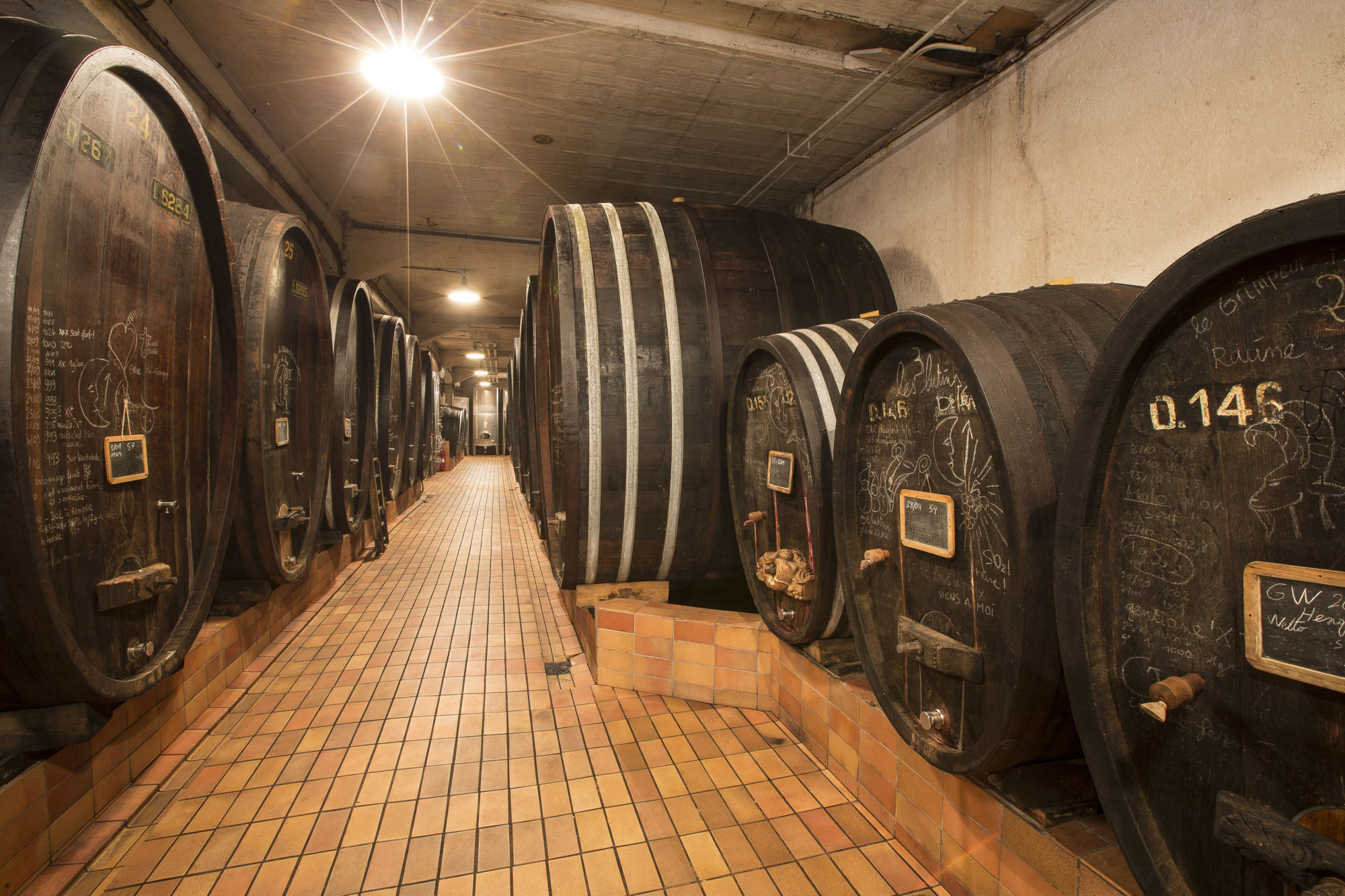 Notre cave S&eacute;lestat