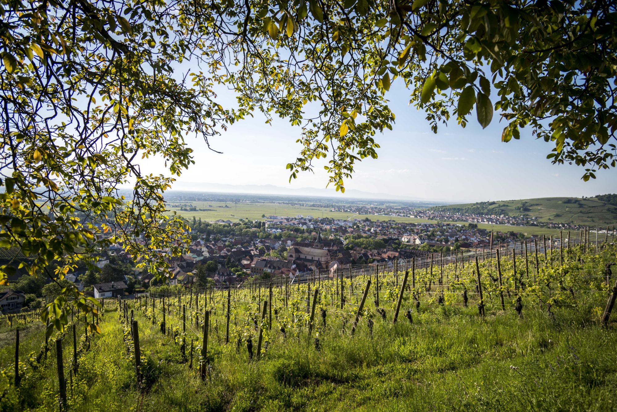 Notre gamme Pfastatt